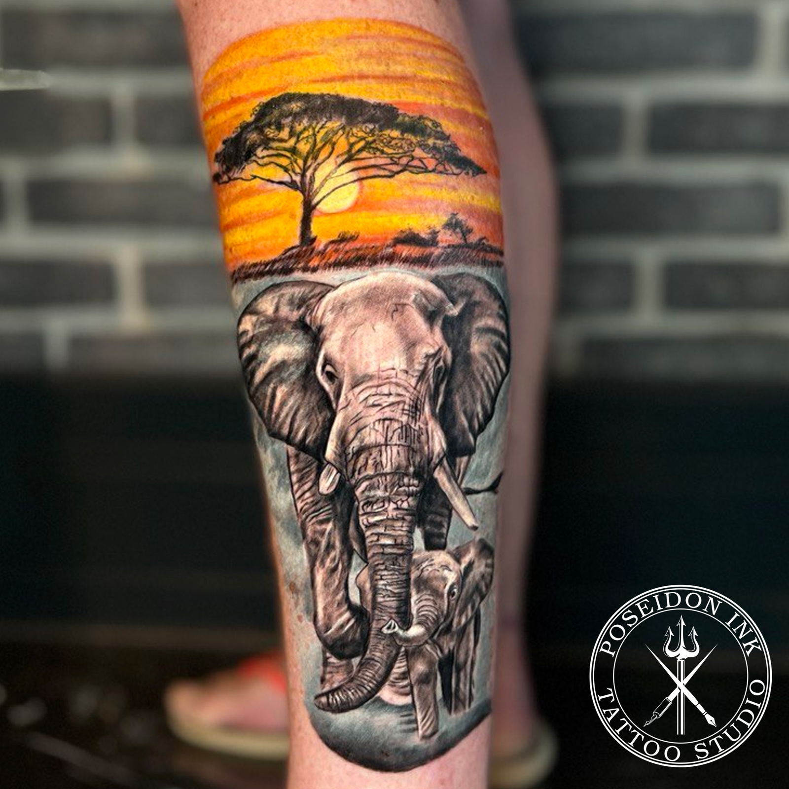 Realism tattoo of an elephant and her calf in black and grey under an orange savanna sunset with acacia tree, on the calf
