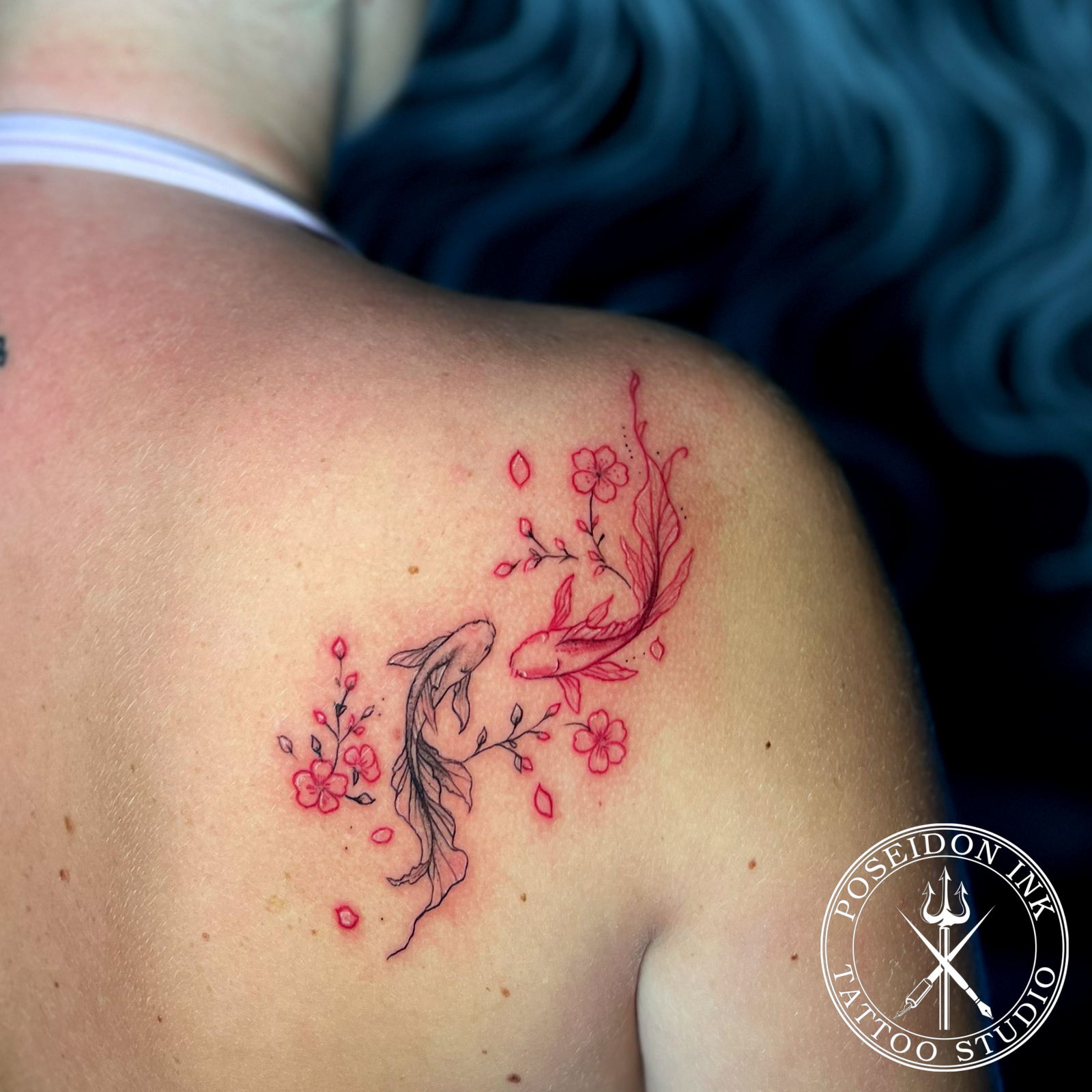 Fine line tattoo of a black koi and a red koi circling among cherry blossoms on the shoulder blade